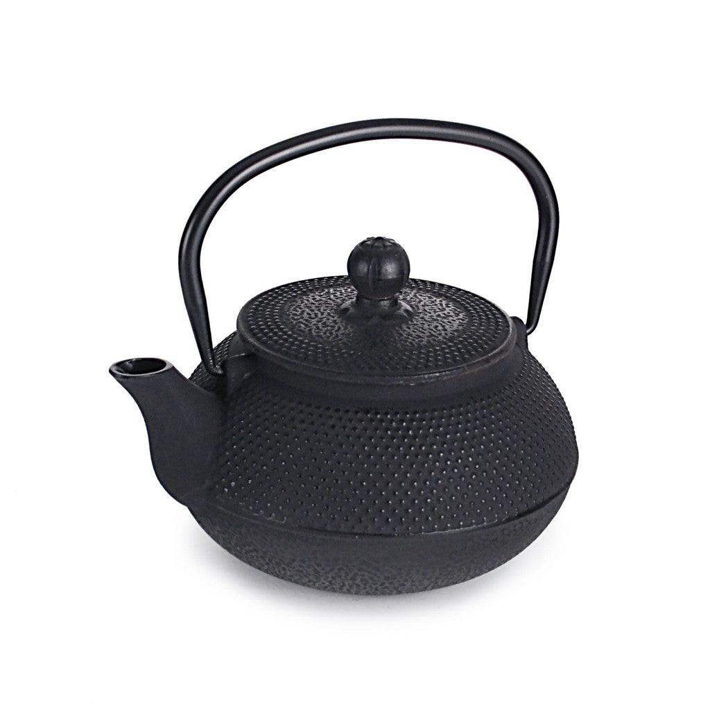 Tetsubin Teapot